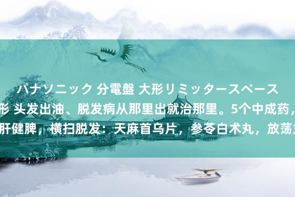 パナソニック 分電盤 大形リミッタースペース付 露出・半埋込両用形 头发出油、脱发病从那里出就治那里。5个中成药，养肝健脾，横扫脱发：天麻首乌片，参苓白术丸，放荡丸，养血生发胶囊，润泽生发片