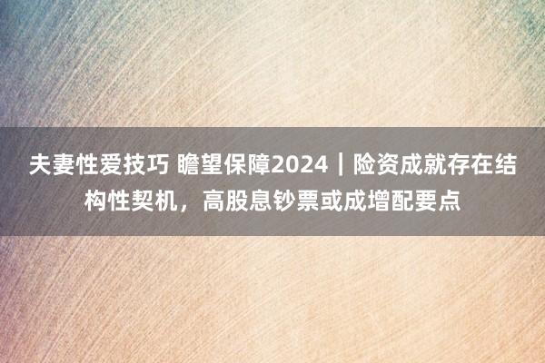 夫妻性爱技巧 瞻望保障2024｜险资成就存在结构性契机，高股息钞票或成增配要点