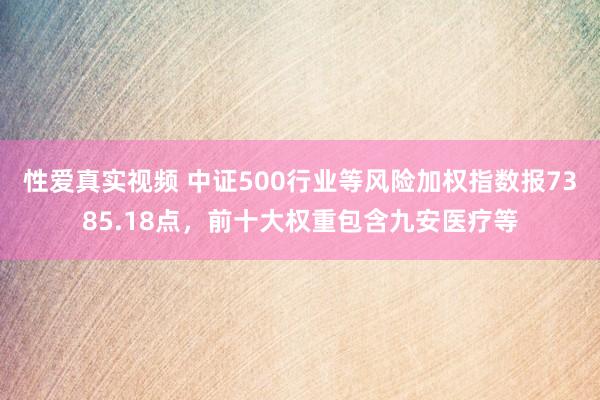 性爱真实视频 中证500行业等风险加权指数报7385.18点，前十大权重包含九安医疗等