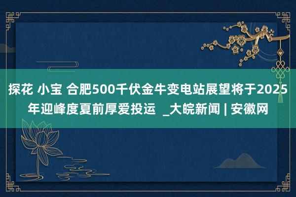 探花 小宝 合肥500千伏金牛变电站展望将于2025年迎峰度夏前厚爱投运  _大皖新闻 | 安徽网