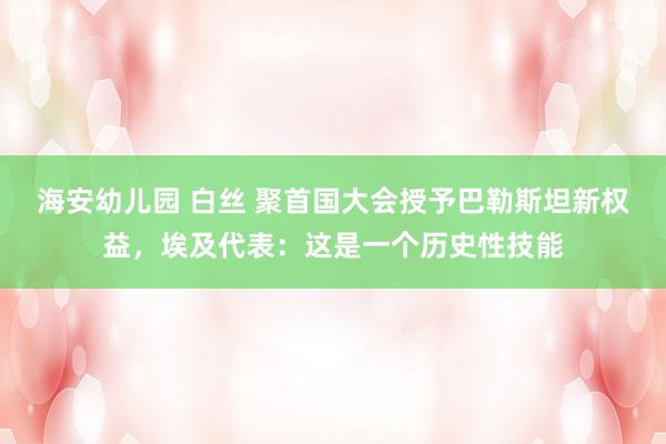 海安幼儿园 白丝 聚首国大会授予巴勒斯坦新权益，埃及代表：这是一个历史性技能