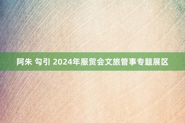 阿朱 勾引 2024年服贸会文旅管事专题展区