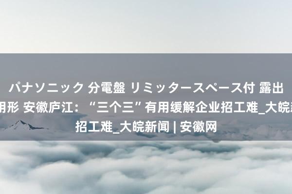 パナソニック 分電盤 リミッタースペース付 露出・半埋込両用形 安徽庐江：“三个三”有用缓解企业招工难_大皖新闻 | 安徽网