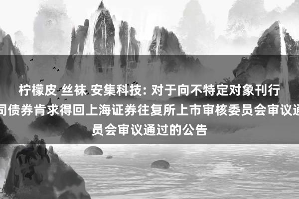 柠檬皮 丝袜 安集科技: 对于向不特定对象刊行可养息公司债券肯求得回上海证券往复所上市审核委员会审议通过的公告