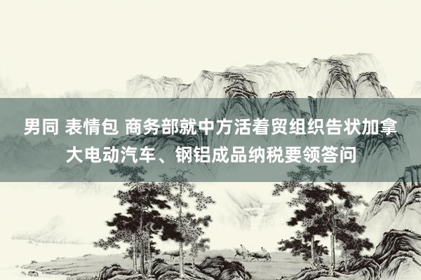 男同 表情包 商务部就中方活着贸组织告状加拿大电动汽车、钢铝成品纳税要领答问