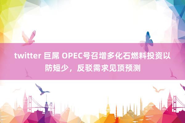 twitter 巨屌 OPEC号召增多化石燃料投资以防短少，反驳需求见顶预测