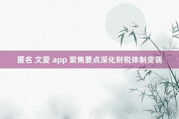 匿名 文爱 app 聚焦要点深化财税体制变调