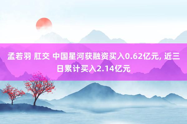 孟若羽 肛交 中国星河获融资买入0.62亿元， 近三日累计买入2.14亿元