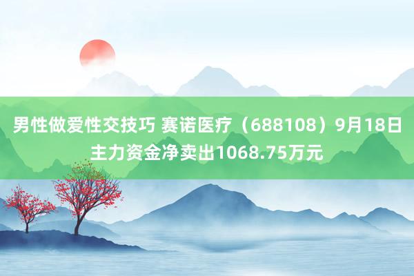 男性做爱性交技巧 赛诺医疗（688108）9月18日主力资金净卖出1068.75万元