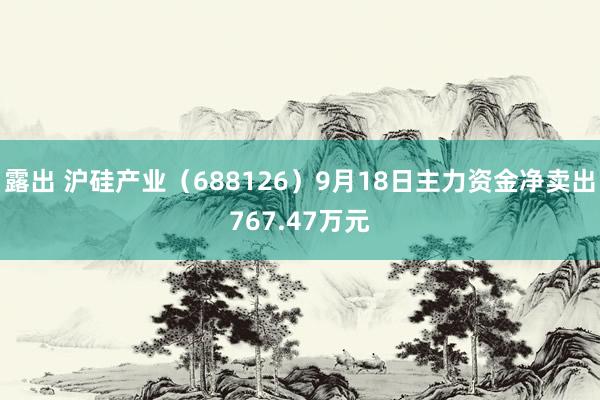 露出 沪硅产业（688126）9月18日主力资金净卖出767.47万元