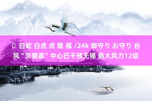 ✨白蛇 白虎 虎 龍 福 /24k 御守り お守り 台风“贝碧嘉”中心已干预无锡 最大风力12级