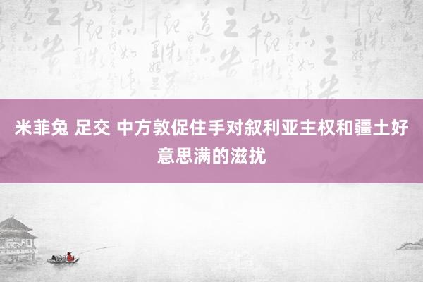 米菲兔 足交 中方敦促住手对叙利亚主权和疆土好意思满的滋扰