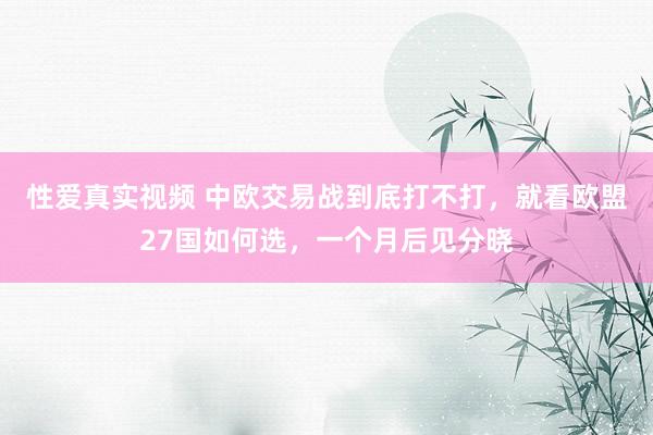 性爱真实视频 中欧交易战到底打不打，就看欧盟27国如何选，一个月后见分晓