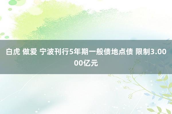 白虎 做爱 宁波刊行5年期一般债地点债 限制3.0000亿元