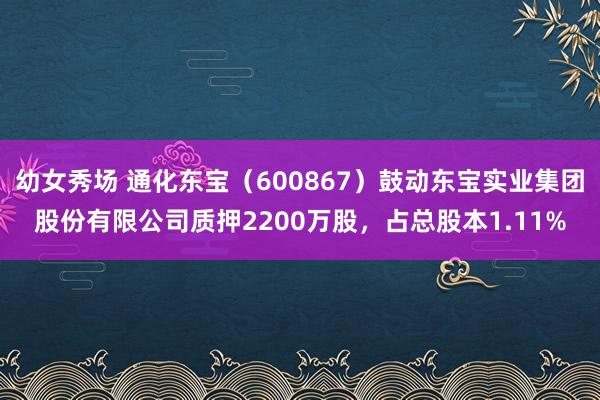 幼女秀场 通化东宝（600867）鼓动东宝实业集团股份有限公司质押2200万股，占总股本1.11%