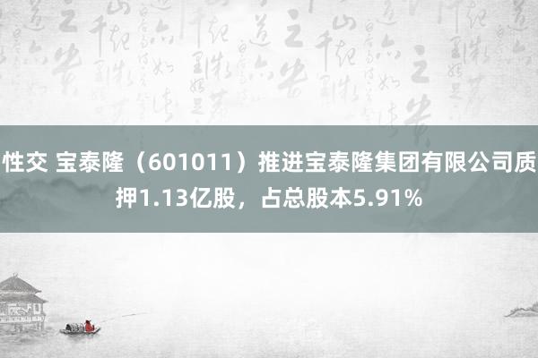 性交 宝泰隆（601011）推进宝泰隆集团有限公司质押1.13亿股，占总股本5.91%