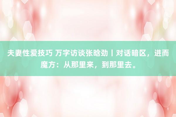 夫妻性爱技巧 万字访谈张晗劲丨对话暗区，进而魔方：从那里来，到那里去。