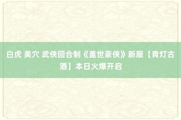 白虎 美穴 武侠回合制《盖世豪侠》新服【青灯古酒】本日火爆开启