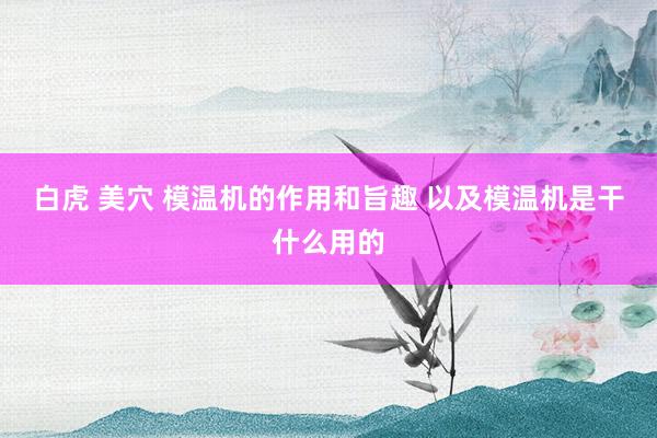 白虎 美穴 模温机的作用和旨趣 以及模温机是干什么用的