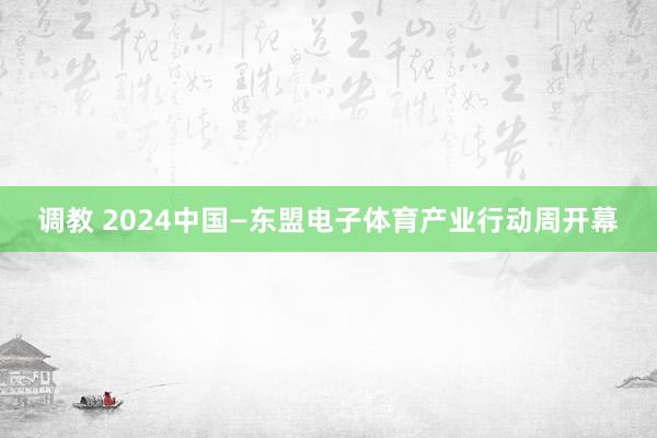 调教 2024中国—东盟电子体育产业行动周开幕