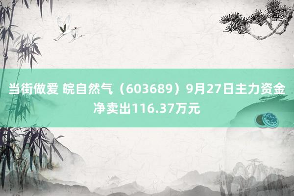 当街做爱 皖自然气（603689）9月27日主力资金净卖出116.37万元