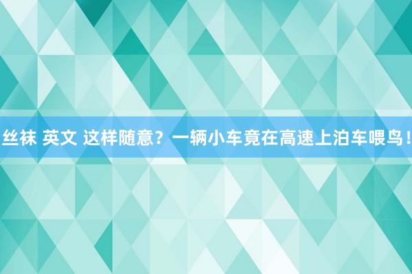 丝袜 英文 这样随意？一辆小车竟在高速上泊车喂鸟！