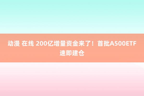 动漫 在线 200亿增量资金来了！首批A500ETF速即建仓