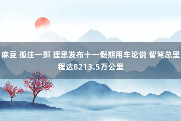 麻豆 孤注一掷 理思发布十一假期用车论说 智驾总里程达8213.5万公里