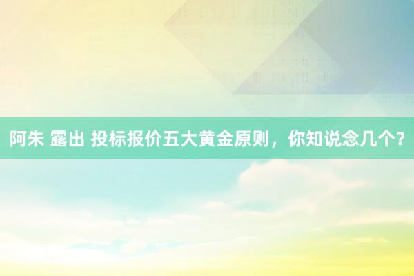 阿朱 露出 投标报价五大黄金原则，你知说念几个？