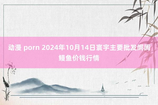 动漫 porn 2024年10月14日寰宇主要批发阛阓鳗鱼价钱行情