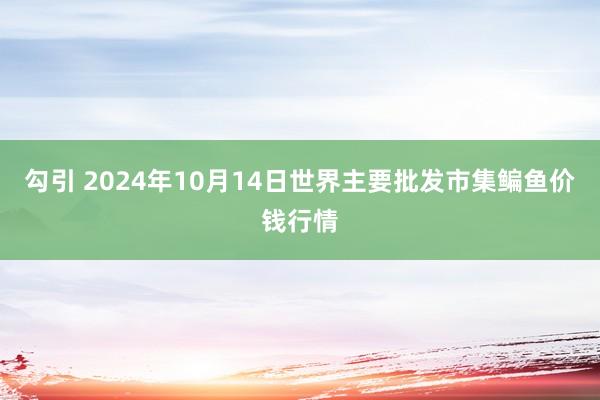 勾引 2024年10月14日世界主要批发市集鳊鱼价钱行情