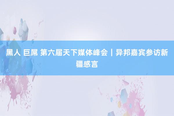 黑人 巨屌 第六届天下媒体峰会｜异邦嘉宾参访新疆感言