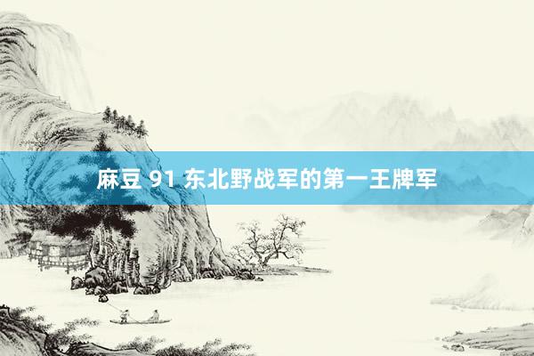 麻豆 91 东北野战军的第一王牌军