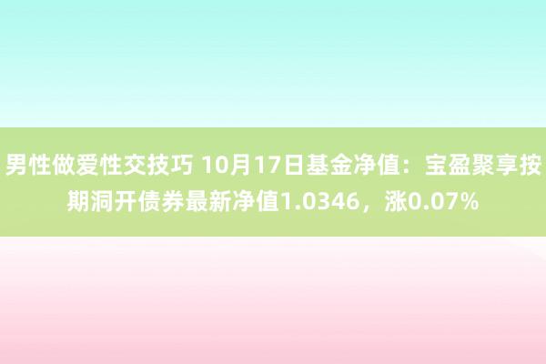 男性做爱性交技巧 10月17日基金净值：宝盈聚享按期洞开债券最新净值1.0346，涨0.07%