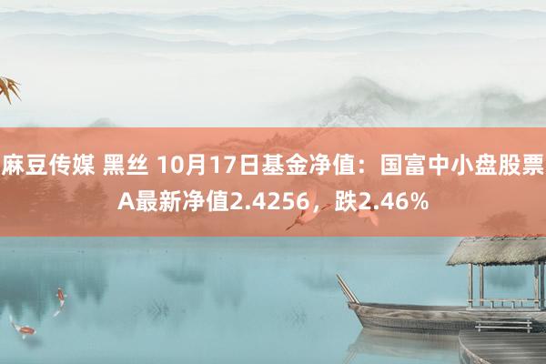 麻豆传媒 黑丝 10月17日基金净值：国富中小盘股票A最新净值2.4256，跌2.46%