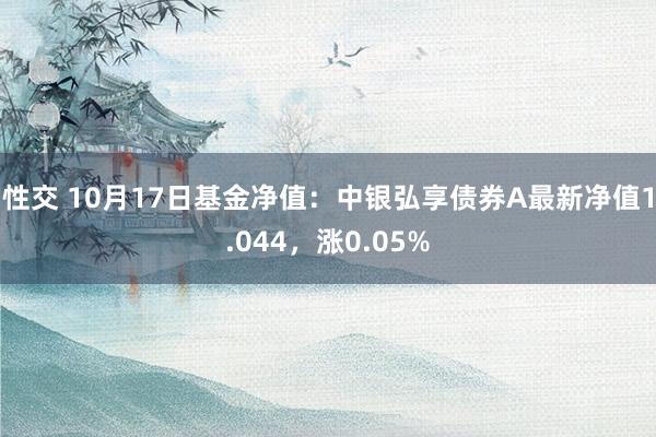 性交 10月17日基金净值：中银弘享债券A最新净值1.044，涨0.05%