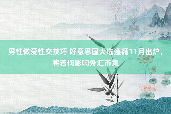 男性做爱性交技巧 好意思国大选遵循11月出炉，将若何影响外汇市集