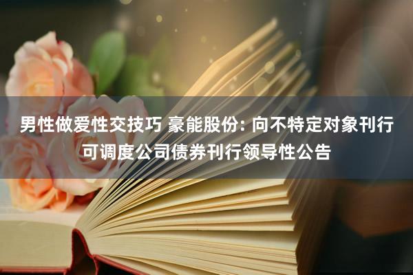 男性做爱性交技巧 豪能股份: 向不特定对象刊行可调度公司债券刊行领导性公告