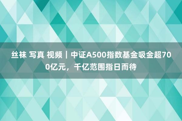 丝袜 写真 视频｜中证A500指数基金吸金超700亿元，千亿范围指日而待