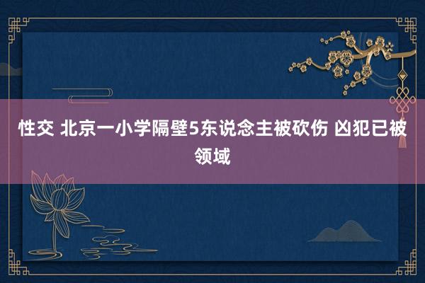 性交 北京一小学隔壁5东说念主被砍伤 凶犯已被领域