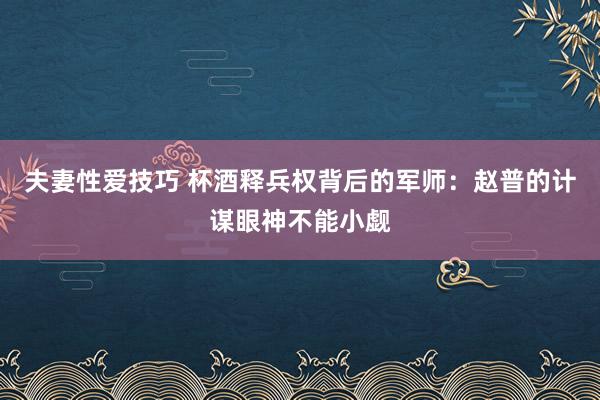 夫妻性爱技巧 杯酒释兵权背后的军师：赵普的计谋眼神不能小觑