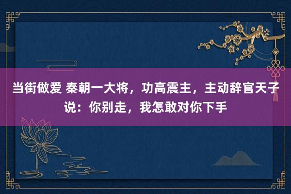 当街做爱 秦朝一大将，功高震主，主动辞官天子说：你别走，我怎敢对你下手