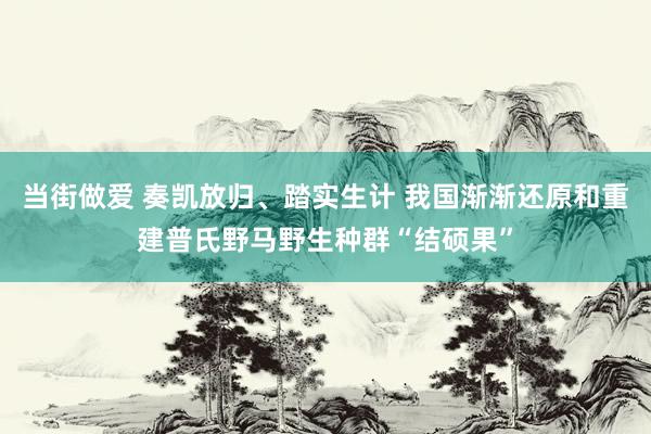 当街做爱 奏凯放归、踏实生计 我国渐渐还原和重建普氏野马野生种群“结硕果”