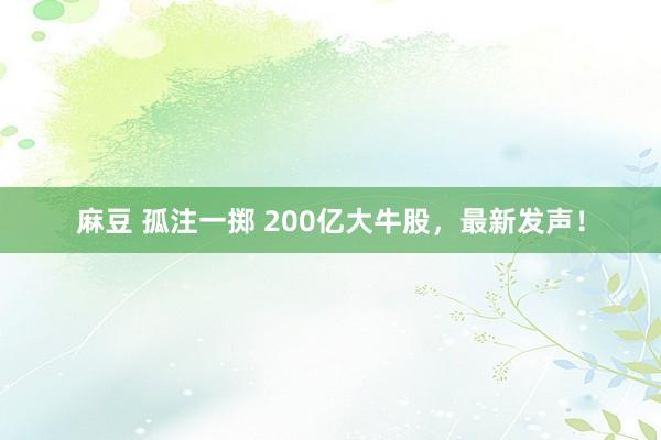 麻豆 孤注一掷 200亿大牛股，最新发声！