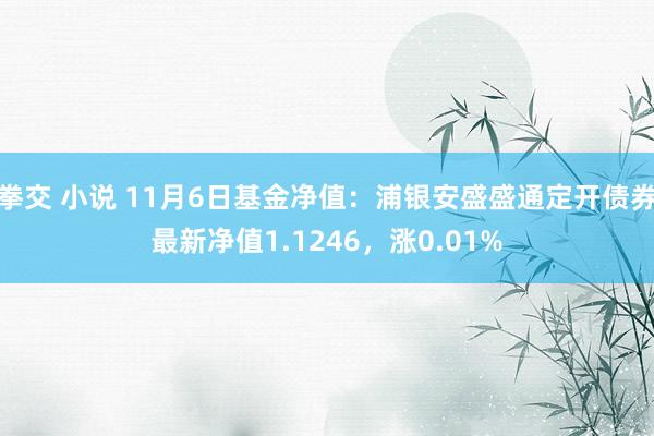 拳交 小说 11月6日基金净值：浦银安盛盛通定开债券最新净值1.1246，涨0.01%