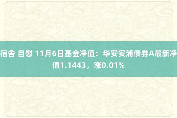 宿舍 自慰 11月6日基金净值：华安安浦债券A最新净值1.1443，涨0.01%