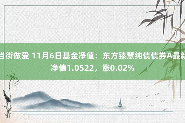 当街做爱 11月6日基金净值：东方臻慧纯债债券A最新净值1.0522，涨0.02%