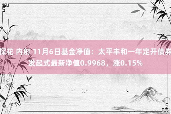 探花 内射 11月6日基金净值：太平丰和一年定开债券发起式最新净值0.9968，涨0.15%