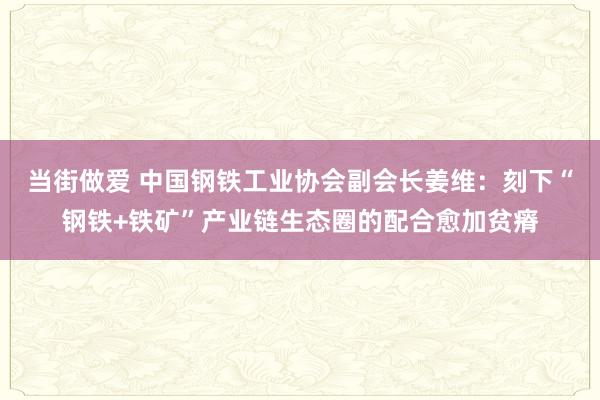 当街做爱 中国钢铁工业协会副会长姜维：刻下“钢铁+铁矿”产业链生态圈的配合愈加贫瘠