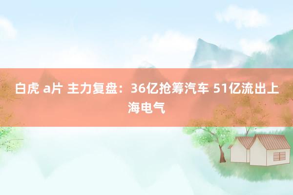 白虎 a片 主力复盘：36亿抢筹汽车 51亿流出上海电气